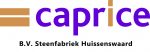 logo caprice_1